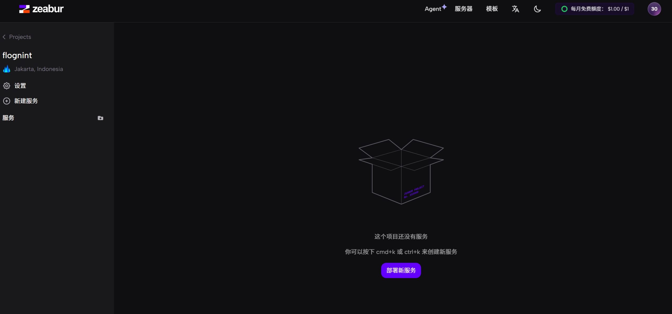 Zeabur使用界面图