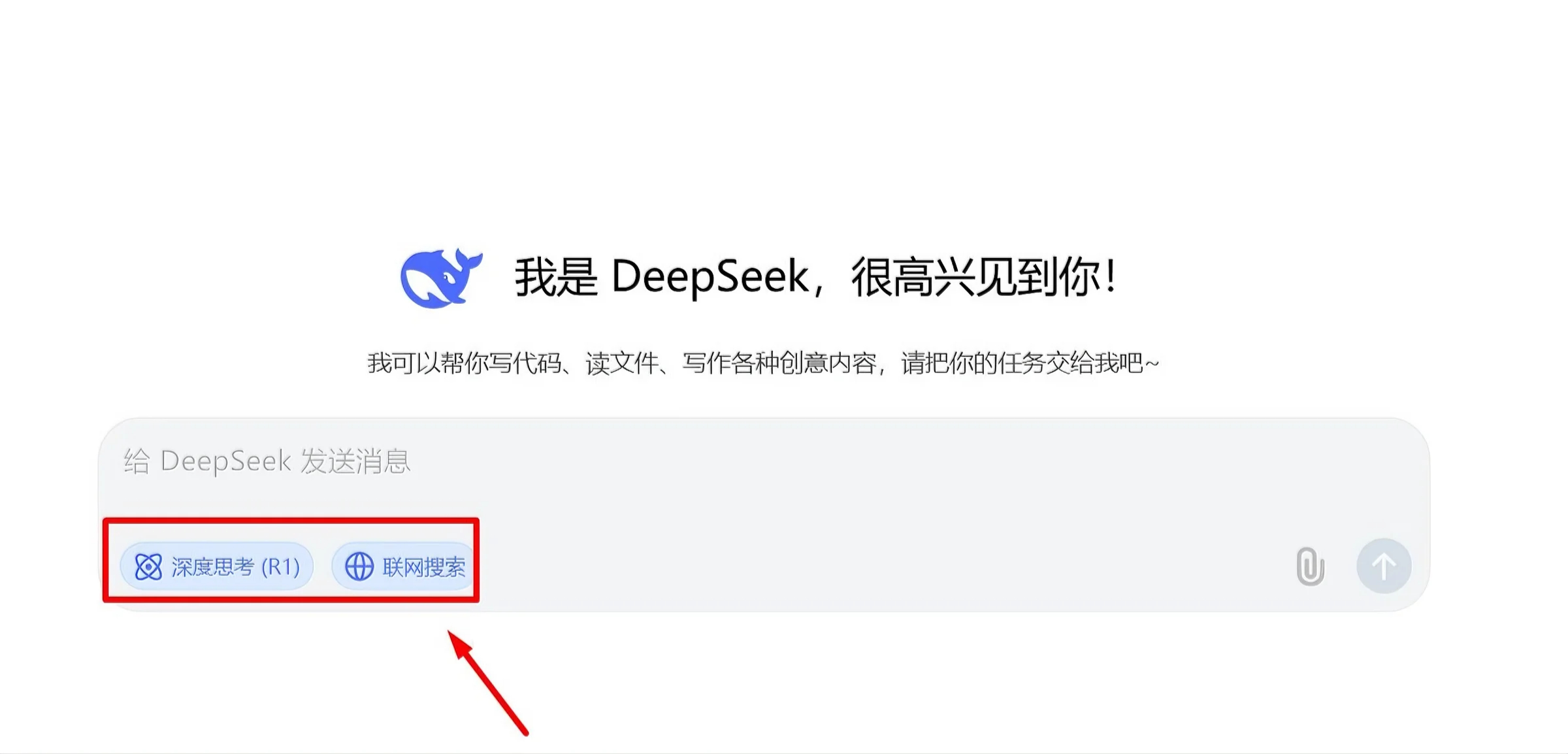 DeepSeek操作界面图