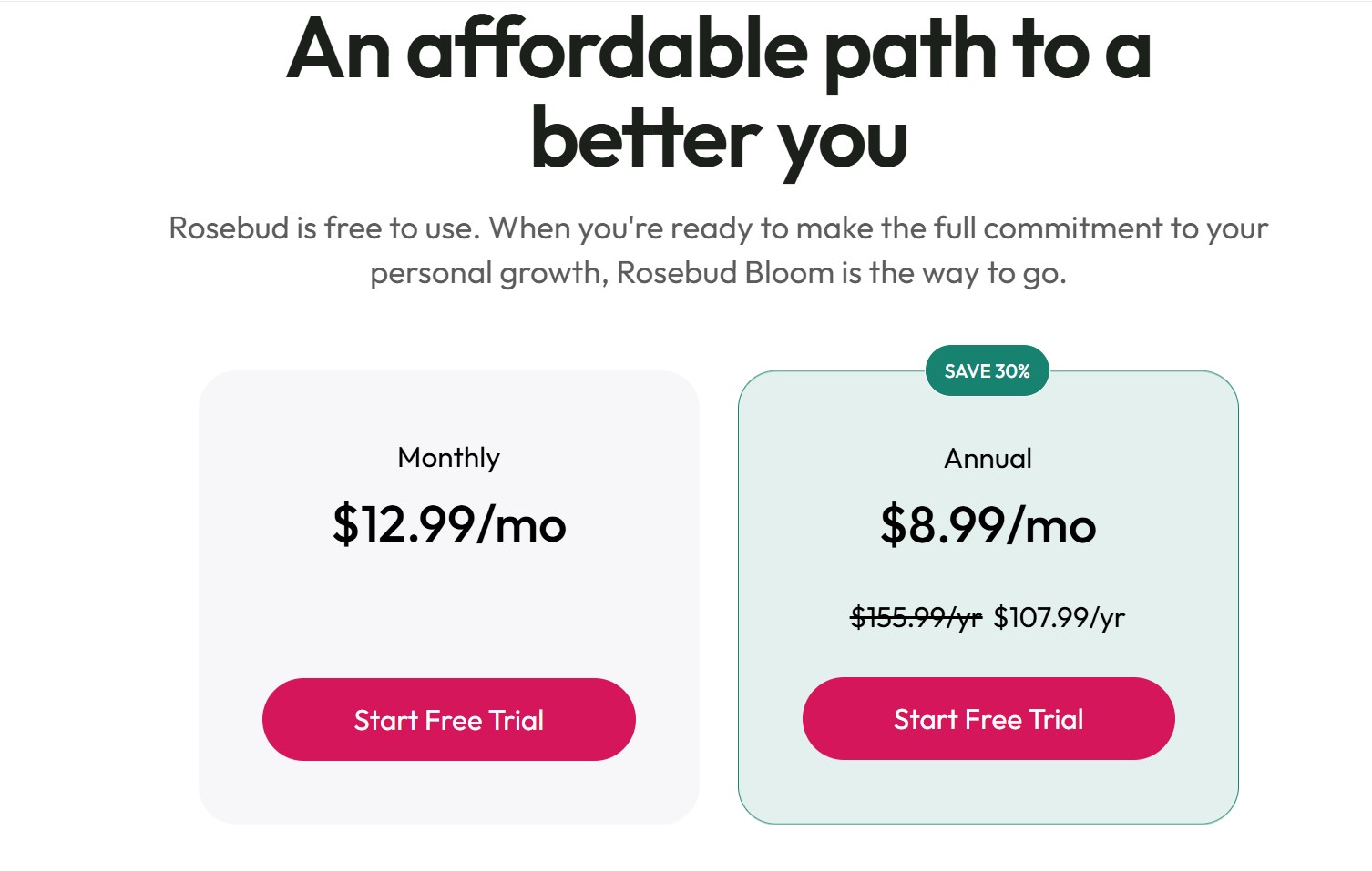 Rosebud.app价格套餐