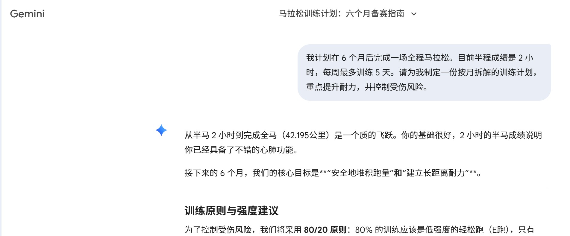 Gemini 健身计划示例，每日训练任务拆解展示
