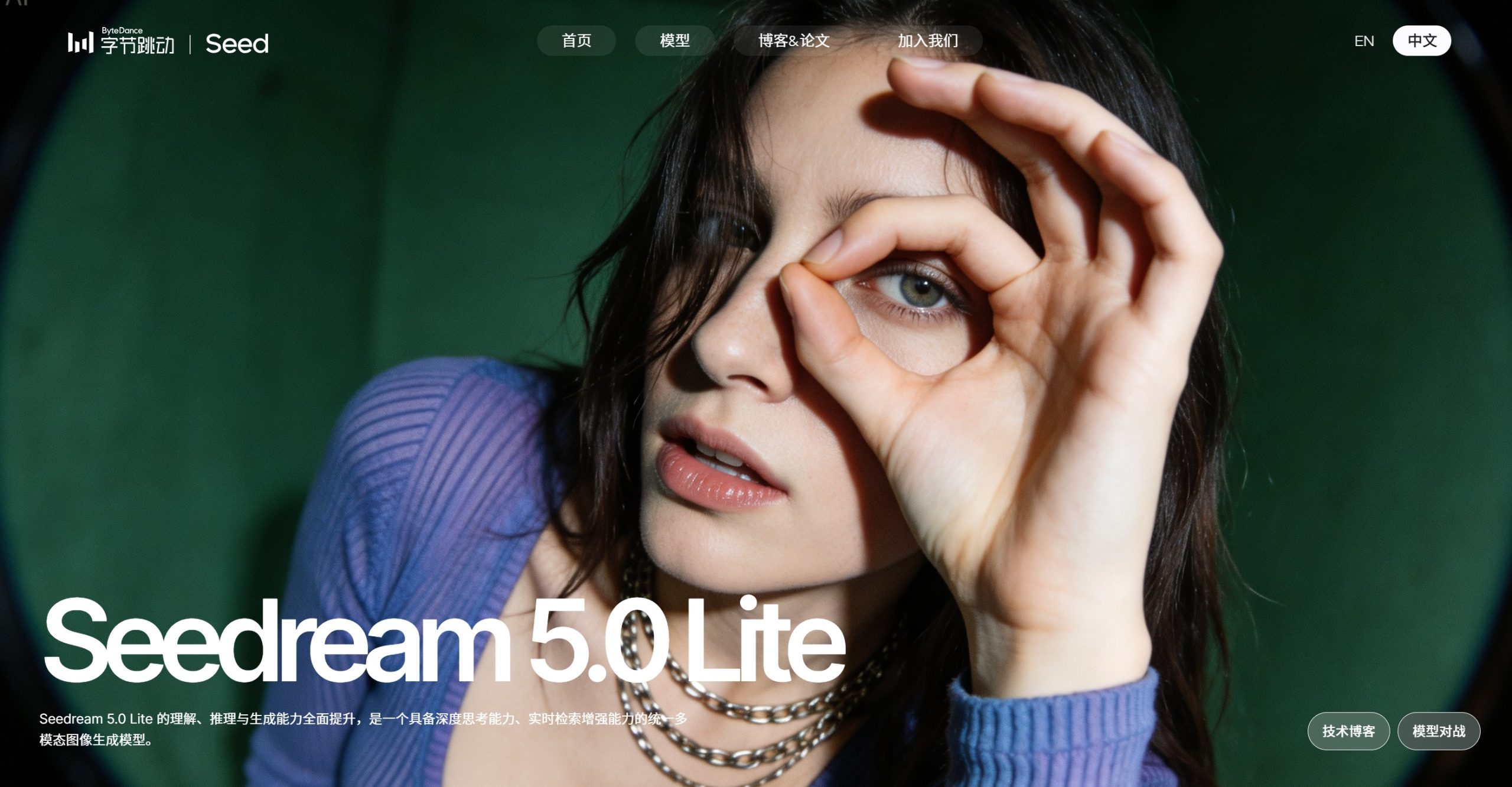 Seedream 5.0 Lite 官方网站首页截图