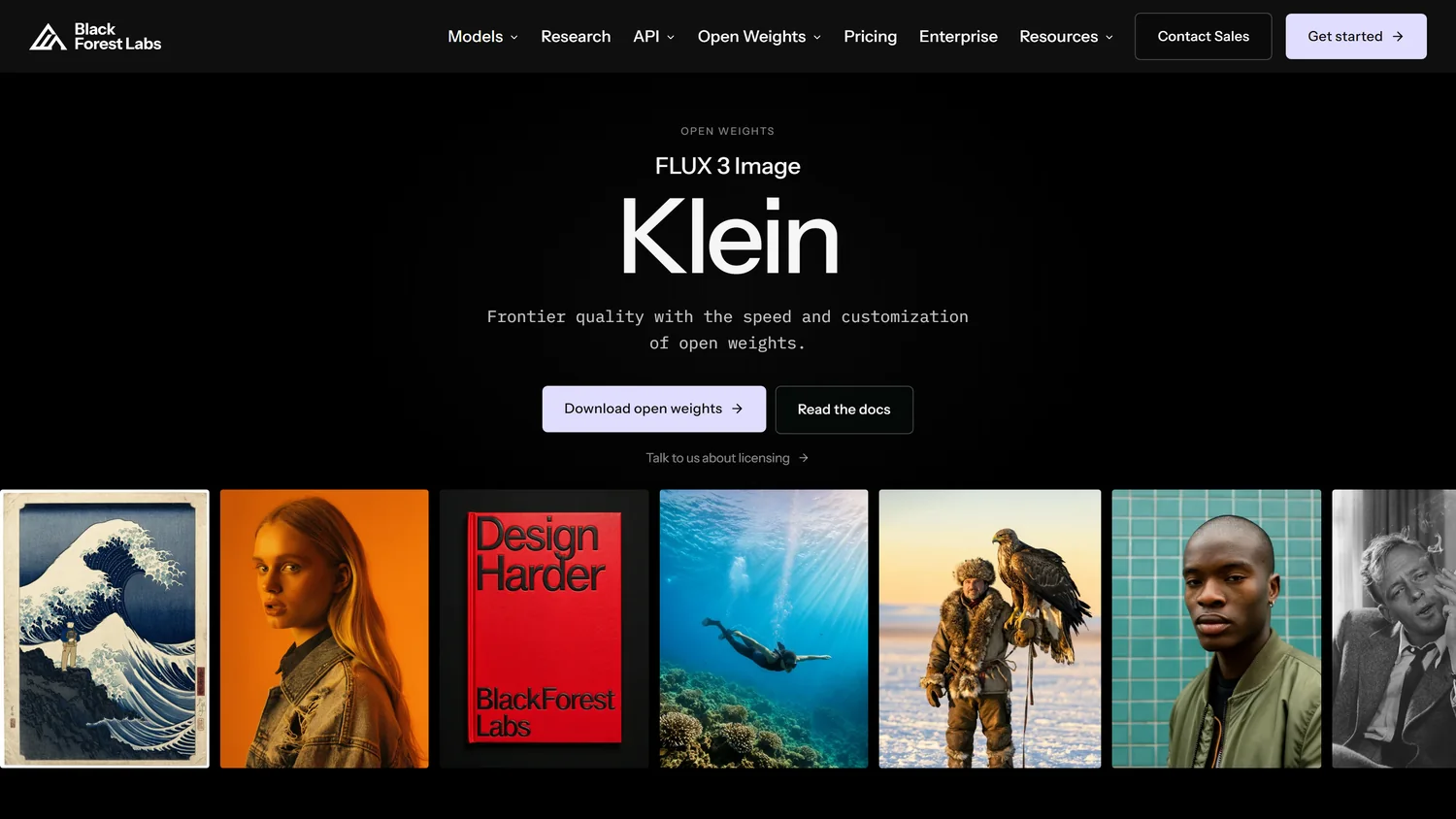 FLUX 3 Image Klein 官网模型页截图