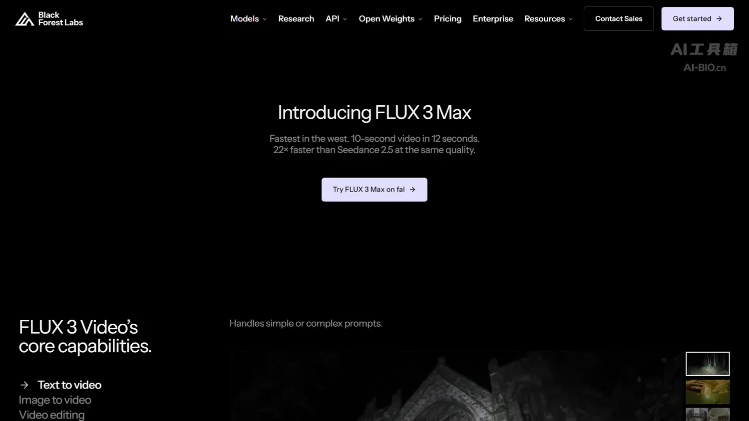 FLUX 3 Max 官方模型页截图
